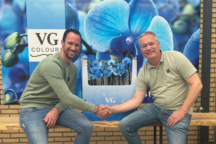 VG Colours lanceert nieuw ontwikkelde showdoos VG Colours lanceert nieuw ontwikkelde showdoos