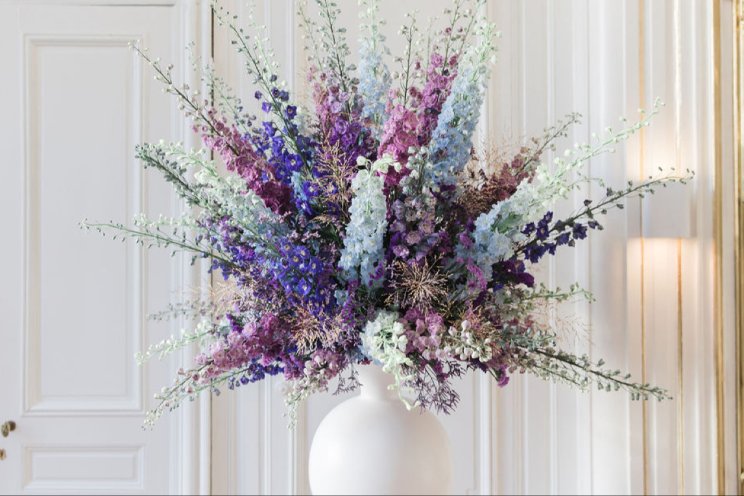 Blooming Innovations lanceert eigen Delphiniums Blooming Innovations lanceert eigen Delphiniums