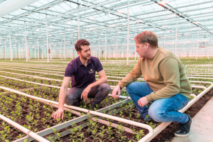 'Bloemengaas is precisiewerk' 'Bloemengaas is precisiewerk'