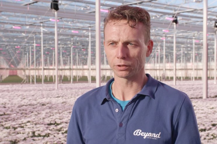Wouter Duijvesteijn op radio bij 5Dagen Wouter Duijvesteijn op radio bij 5Dagen