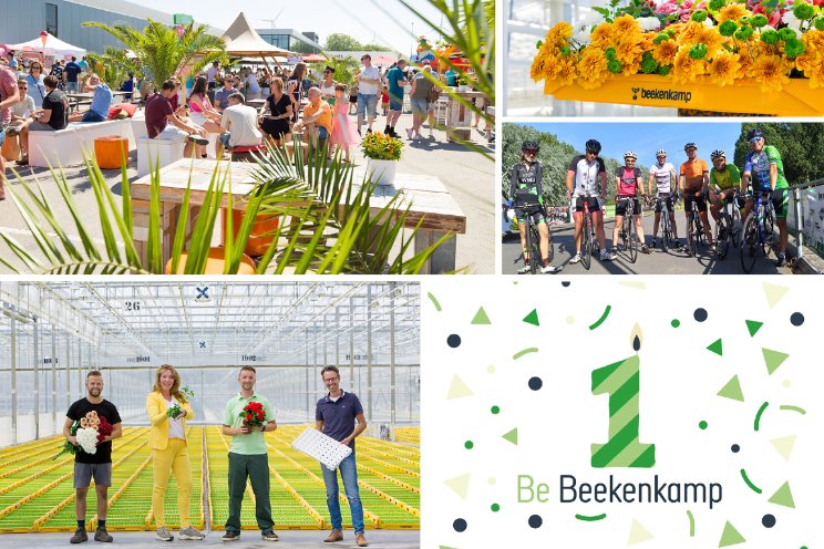 Engelstalige versie van website ‘Be Beekenkamp’ Engelstalige versie van website ‘Be Beekenkamp’