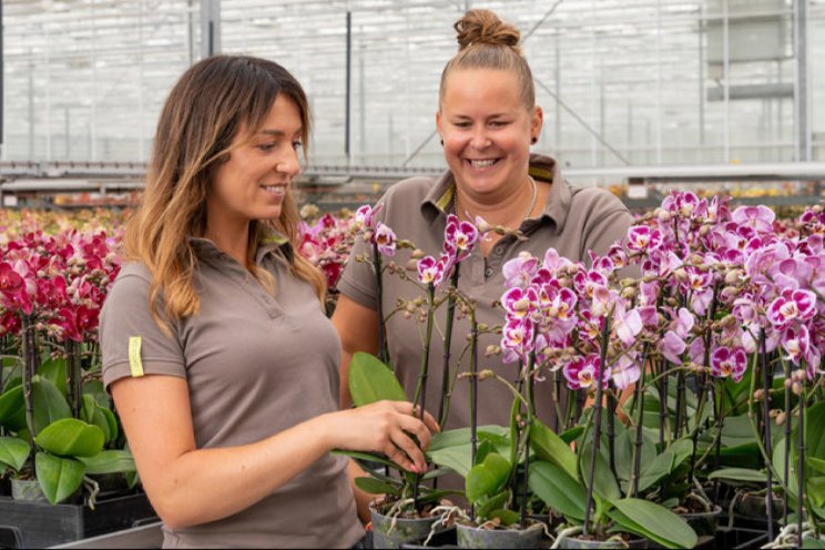 Wervingsontbijt Opti-flor Wervingsontbijt Opti-flor