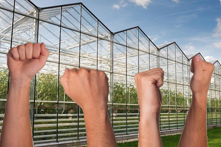 Wanneer mag je staken? Wanneer mag je staken?