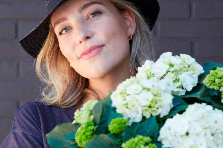 200 jaar hortensia in Nederland