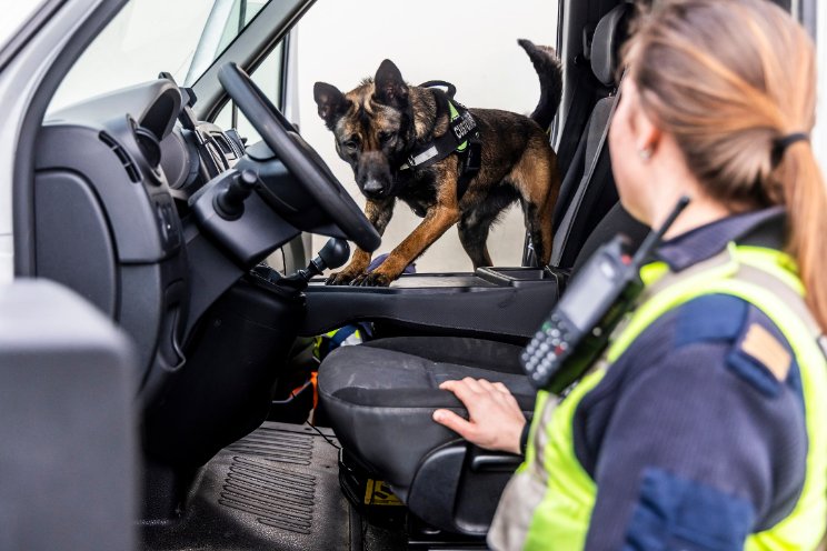 Controles tegen criminele inmenging sierteelt Controles tegen criminele inmenging sierteelt