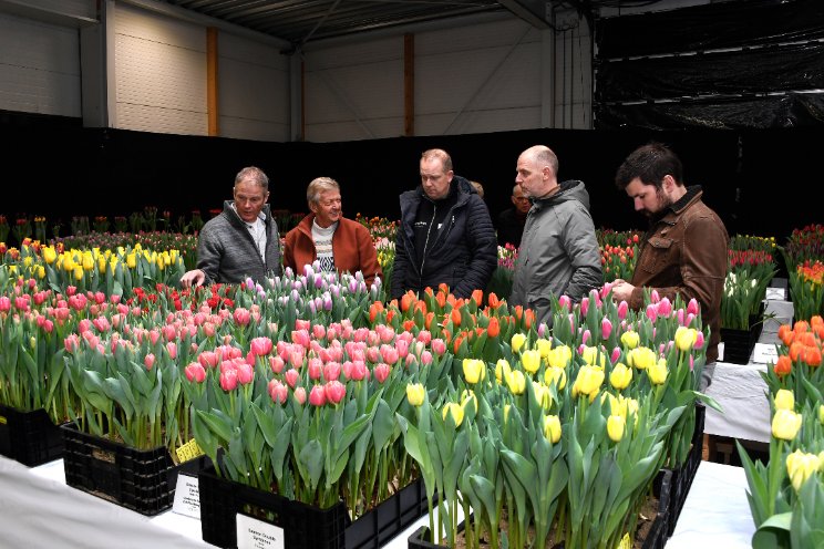 Vaktentoonstelling in teken Chinees Nieuwjaar Vaktentoonstelling in teken Chinees Nieuwjaar