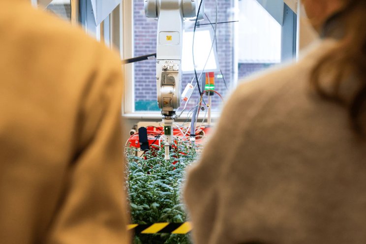 Robohouse en Zentoo werken aan knoprobot
