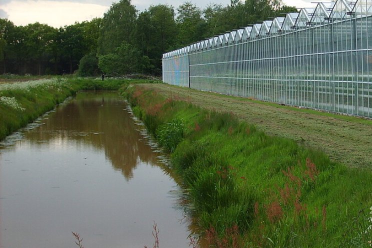 Watercoach gebiedsgericht aan de slag in en om de kas