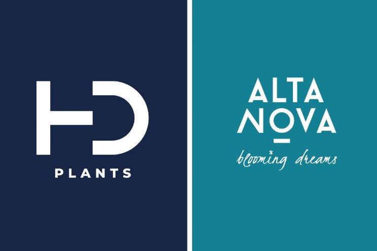 AltaNova Sales per 1 juli verder als twee bedrijven AltaNova Sales per 1 juli verder als twee bedrijven