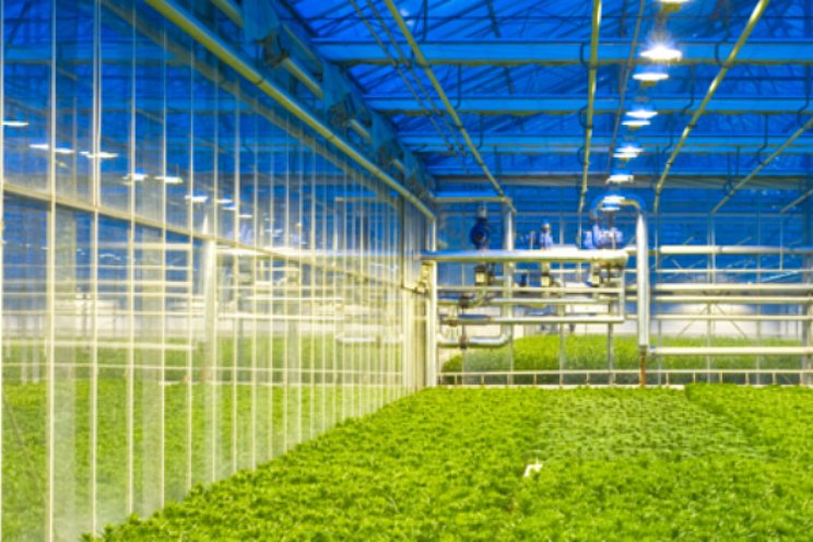 AgroEnergy keert klanten onbalanspoolvoordeel uit AgroEnergy keert klanten onbalanspoolvoordeel uit