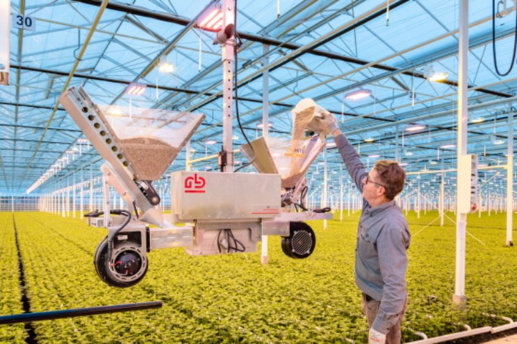 Linflowers met biologische aanpak de winter in Linflowers met biologische aanpak de winter in