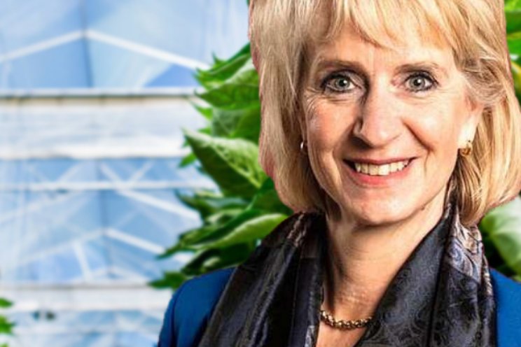 Jolanda Heistek: 13 woorden Jolanda Heistek: 13 woorden