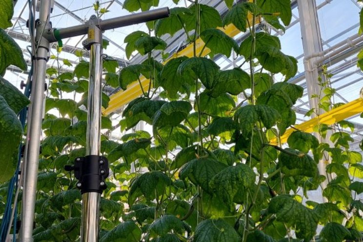 AGROS II: Slim telen met een autonoom platform AGROS II: Slim telen met een autonoom platform