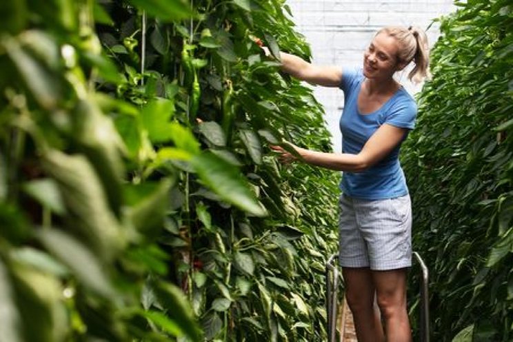 Onderhandelingen cao binnenkort van start