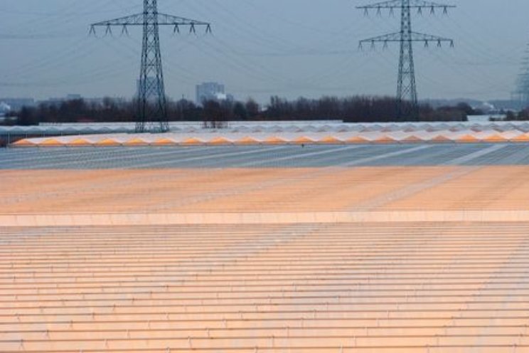 Temperaturen bovengemiddeld Temperaturen bovengemiddeld