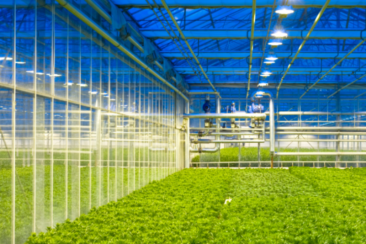 Duurzame energie in de glastuinbouw Duurzame energie in de glastuinbouw