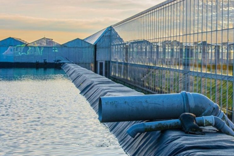 Tips: bescherm silo's en bassins tegen vorstschade Tips: bescherm silo's en bassins tegen vorstschade