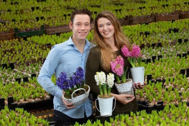 Hyacinten verkocht voor jonge mensen met kanker