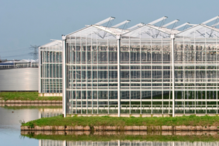 Glas-voor-glas regeling Noord-Brabant