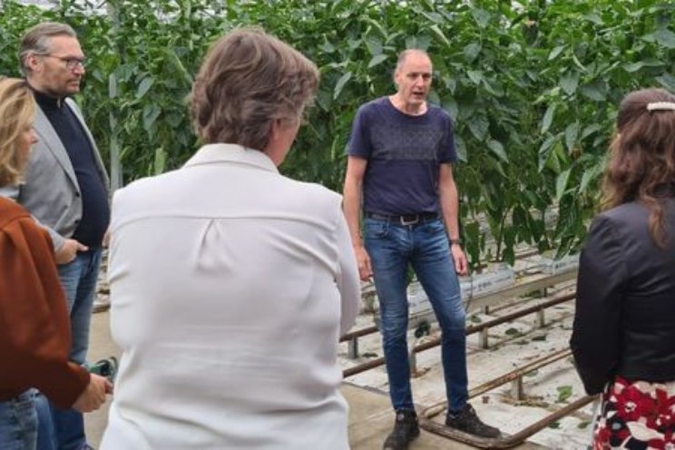 Gedeputeerde bezoekt Kwekerij Moors Gedeputeerde bezoekt Kwekerij Moors