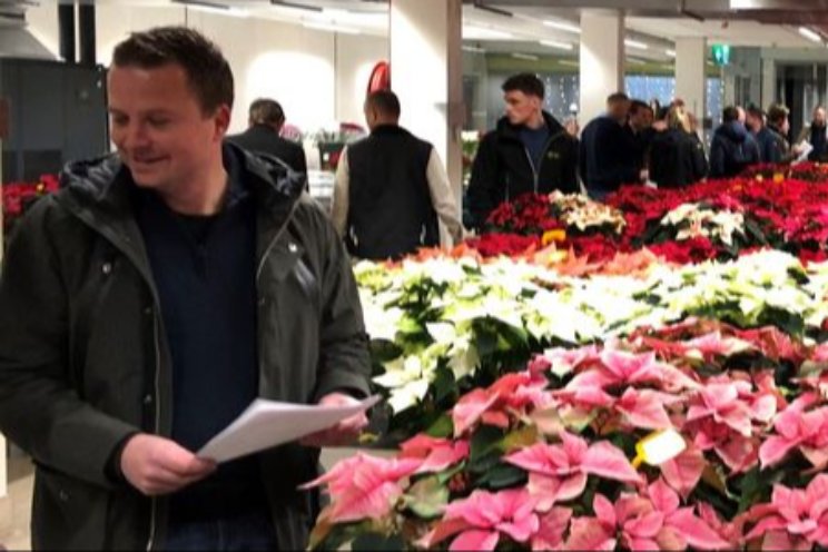 Resultaten benchmark Poinsettia beschikbaar Resultaten benchmark Poinsettia beschikbaar