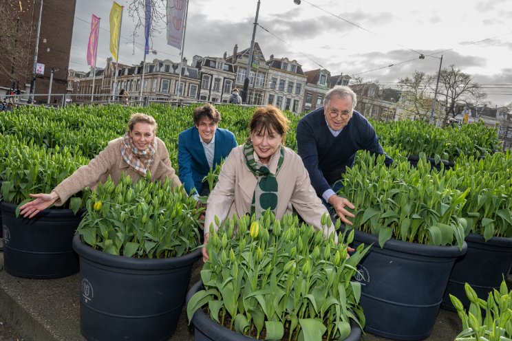 Tulp Festival van start