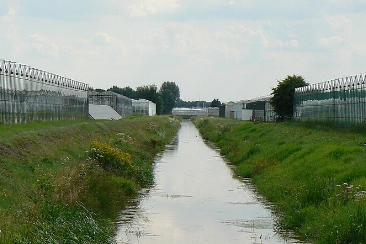 255 controles uitgevoerd in glastuinbouw Delfland 255 controles uitgevoerd in glastuinbouw Delfland