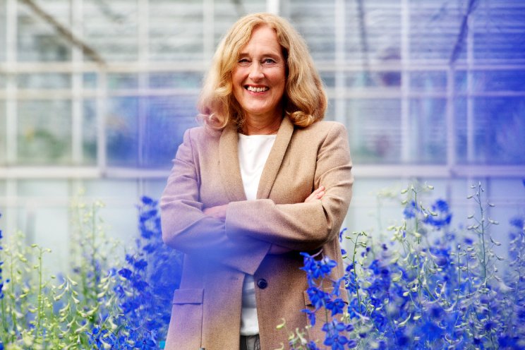 'Oneerlijke concurrentie door klimaatpakket' 'Oneerlijke concurrentie door klimaatpakket'