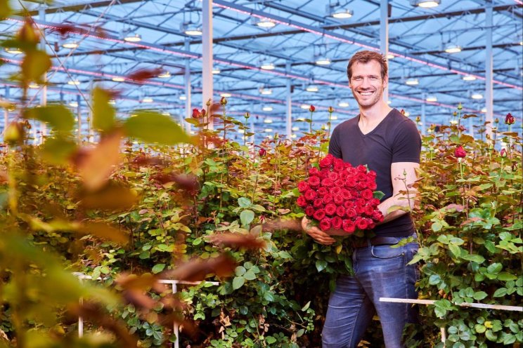 'Beste roos met zo min mogelijk grondstoffen'