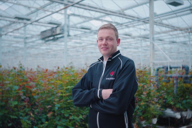 Efficiënte rozenproductie met slimme technologie Efficiënte rozenproductie met slimme technologie