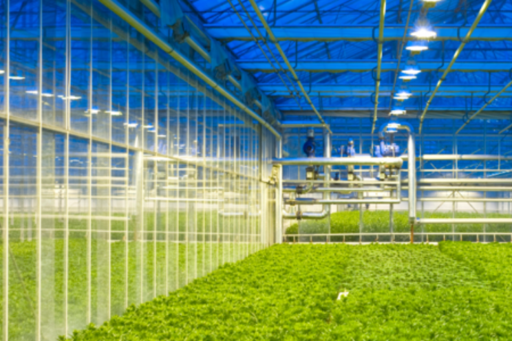 AgroEnergy voorspelt oplopende gasprijzen AgroEnergy voorspelt oplopende gasprijzen