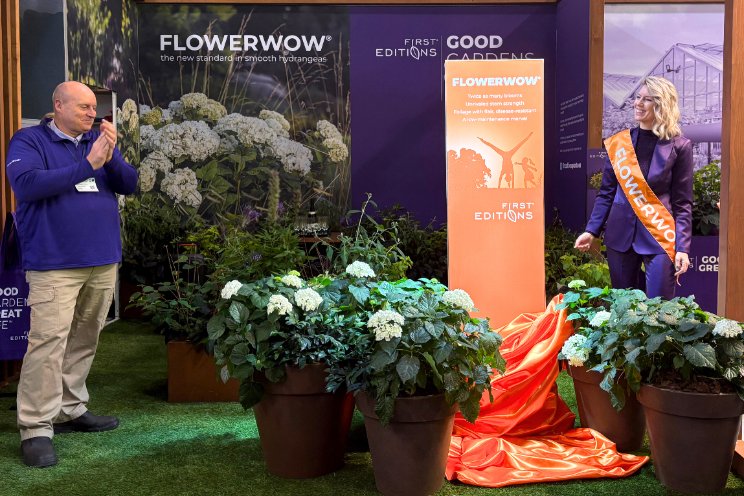 FlowerWOW gepresenteerd FlowerWOW gepresenteerd