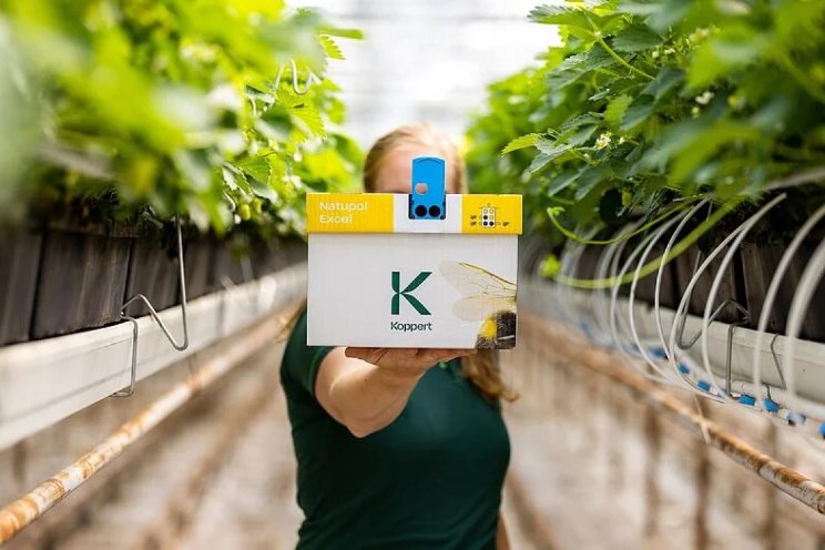 Koppert vernieuwt Natupol hommelkasten Koppert vernieuwt Natupol hommelkasten