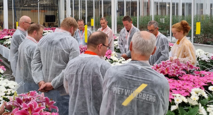 Zicht op ziekten en plagen Zicht op ziekten en plagen