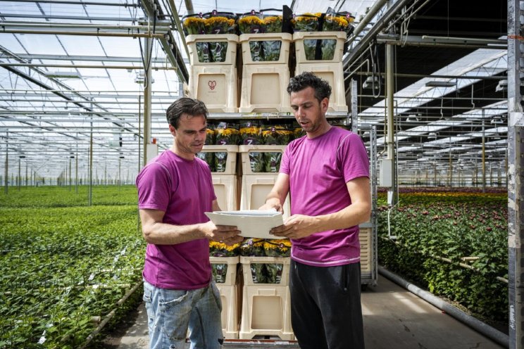 Royal FloraHolland meldt hogere kopertevredenheid Royal FloraHolland meldt hogere kopertevredenheid