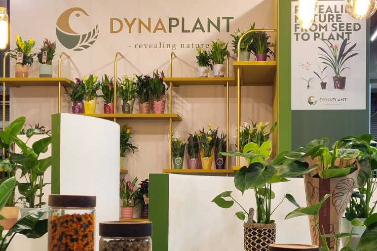 Dynaplant onthult vernieuwde huisstijl Dynaplant onthult vernieuwde huisstijl
