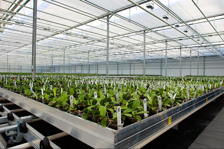 Groen licht onderzoek verdamping en meer licht Groen licht onderzoek verdamping en meer licht