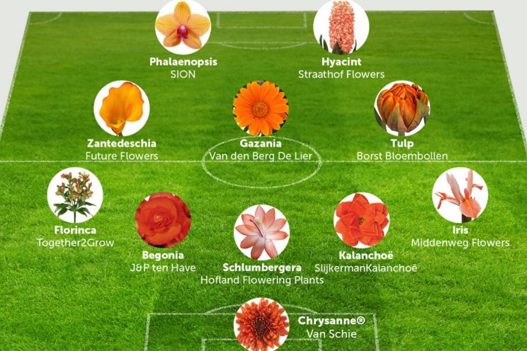 Het elftal van Decorum Het elftal van Decorum