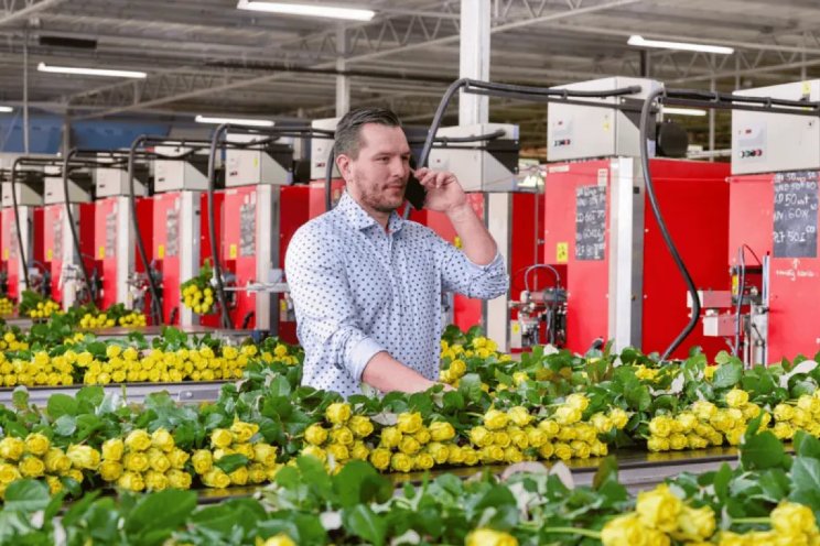 Retailvoorwaarden beschikbaar via Floriday Retailvoorwaarden beschikbaar via Floriday