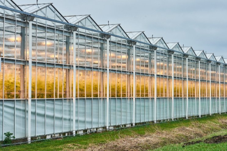 Noord-Hollandse boeren en telers komen in actie