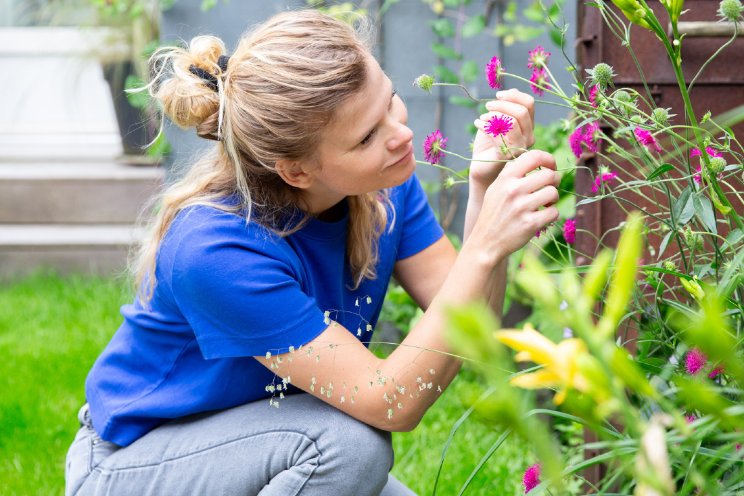 Weinig inheemse planten en bio-planten gekocht Weinig inheemse planten en bio-planten gekocht