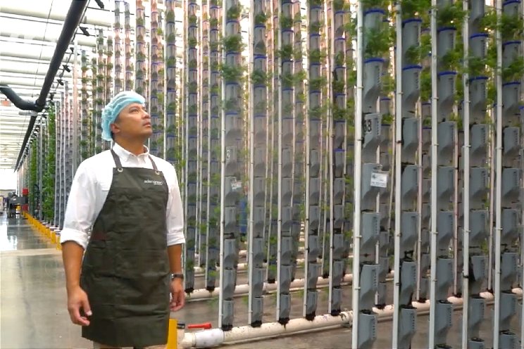 'Revolutie vertical farming' 'Revolutie vertical farming'