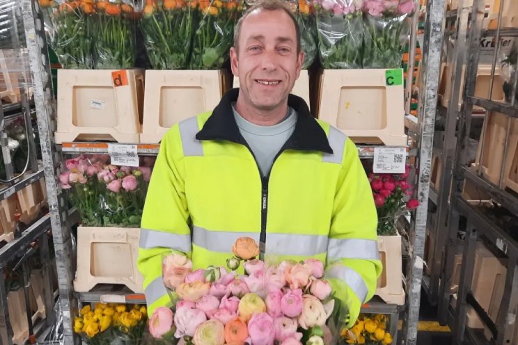 'Diversiteit van seizoensbloemen' 'Diversiteit van seizoensbloemen'