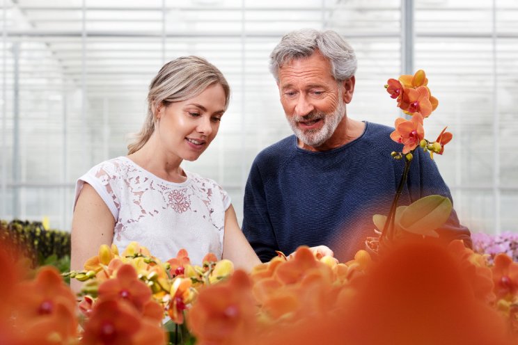 Ambities en vragen voor tuinbouw Zuid-Holland Ambities en vragen voor tuinbouw Zuid-Holland