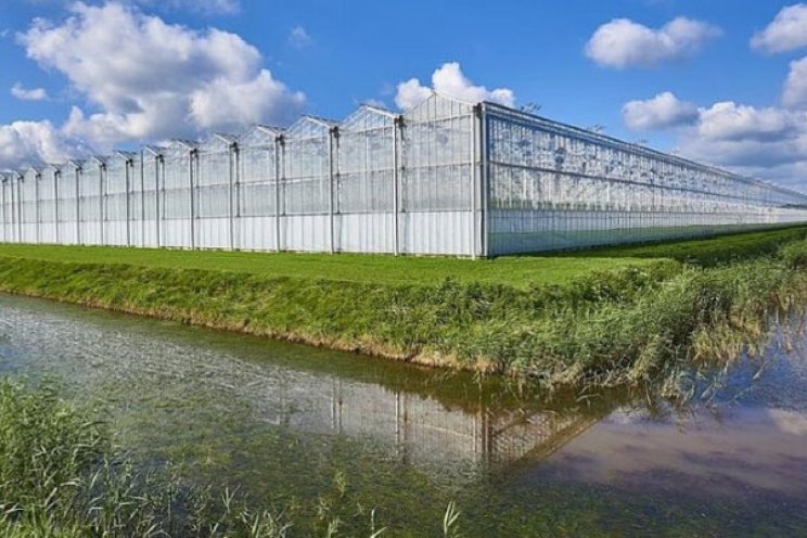 Kritiek op uitzending Nieuwsuur over tuinbouw Kritiek op uitzending Nieuwsuur over tuinbouw