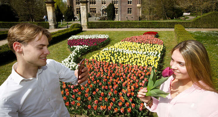 Limburgs tulpenmozaïek in bloei Limburgs tulpenmozaïek in bloei