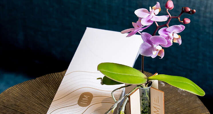 Orchidee door de brievenbus Orchidee door de brievenbus