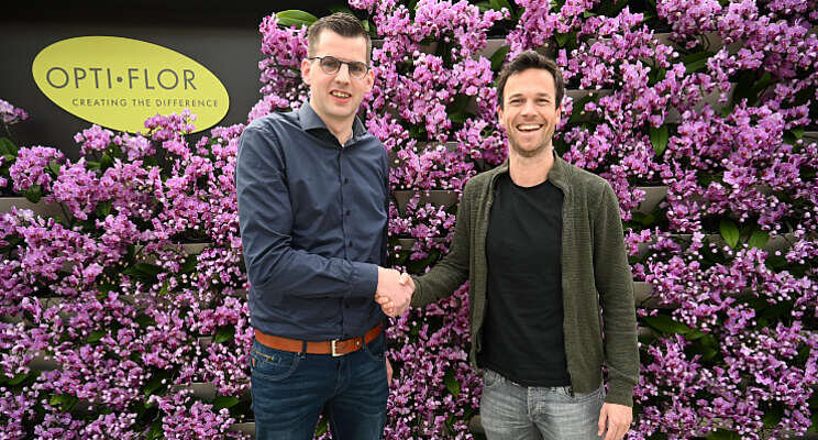 Opti-flor krijgt een geheel nieuwe ErfGoedVloer Opti-flor krijgt een geheel nieuwe ErfGoedVloer