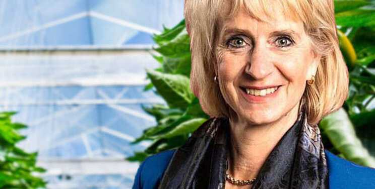 BLOG Jolanda Heistek: The Dutch Way BLOG Jolanda Heistek: The Dutch Way