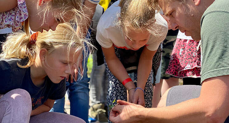 Kinderen op excursie bij kwekerij Gebr. Rotteveel Kinderen op excursie bij kwekerij Gebr. Rotteveel
